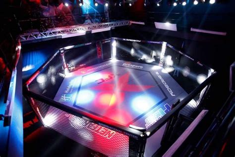 xfights to|xtreme fighting championship.